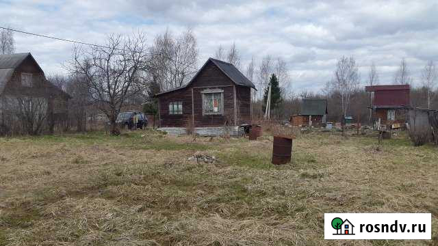 Участок СНТ, ДНП 6 сот. на продажу в Дмитрове Дмитров - изображение 1