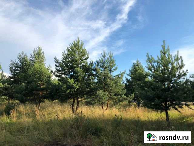 Участок ИЖС 22 сот. на продажу в Маршале Жуковой Маршала Жукова - изображение 1