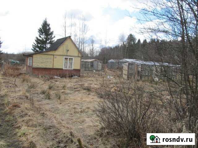 Участок СНТ, ДНП 6 сот. на продажу в Выборге Выборг - изображение 1