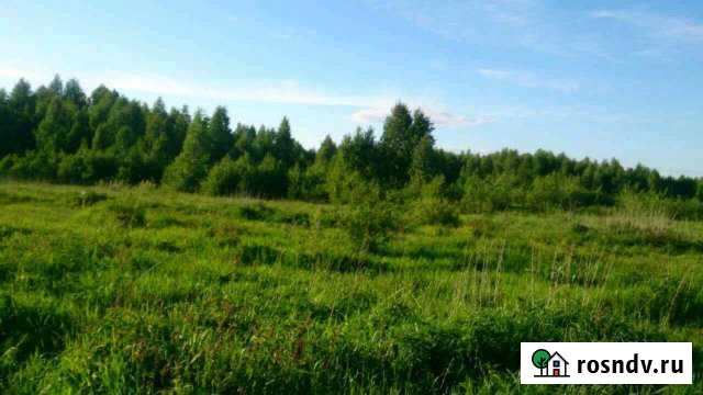 Участок СНТ, ДНП 1700 сот. на продажу в Катайске Катайск - изображение 1