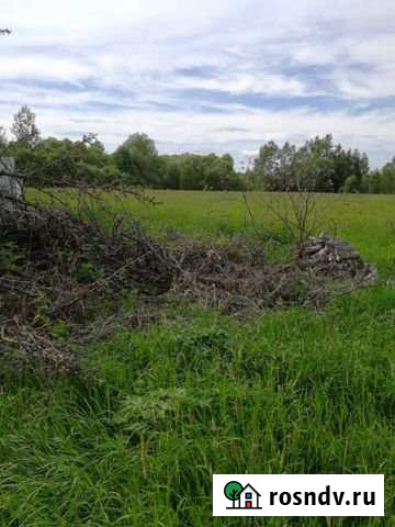 Участок ИЖС 16 сот. на продажу в Спас-Клепиках Спас-Клепики - изображение 1