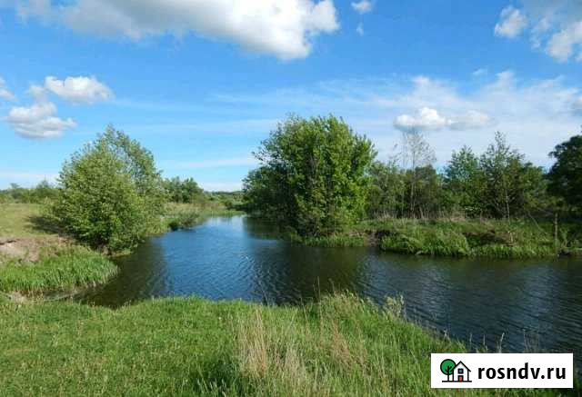 Дом 55 м² на участке 50 сот. на продажу в Медвенке Медвенка - изображение 1