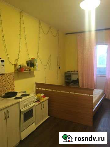 Квартира-студия, 24 м², 2/17 эт. на продажу в Сургуте Сургут - изображение 1