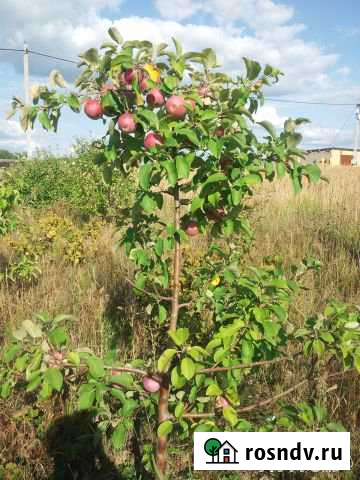 Участок СНТ, ДНП 16 сот. на продажу в Воскресенске Воскресенск - изображение 1