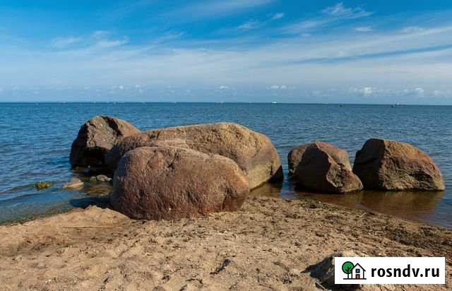 Участок промназначения 79 сот. на продажу в Лебяжьем Ленинградской области Лебяжье - изображение 1