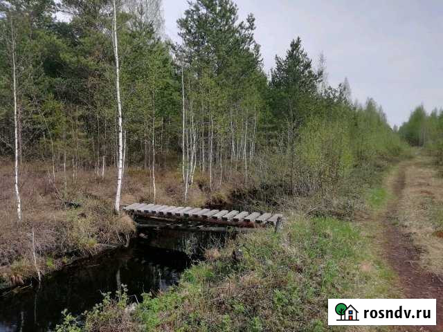 Участок СНТ, ДНП 10 сот. на продажу в Череповце Череповец - изображение 1