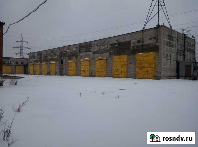 Помещение свободного наз-я, от 220 кв. до 1170 кв.м. Череповец - изображение 1