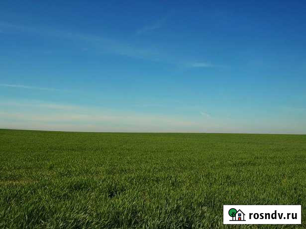 Участок СНТ, ДНП 1498 сот. на продажу в Новосокольниках Новосокольники - изображение 1