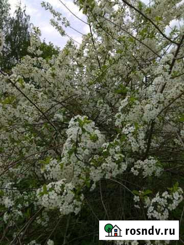 Участок ИЖС 13 сот. на продажу в Воротынце Воротынец - изображение 1