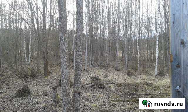 Участок СНТ, ДНП 10 сот. на продажу в Рябово Рябово - изображение 1