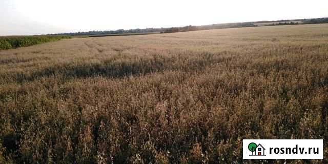 Участок СНТ, ДНП 1000 сот. на продажу в Шаблыкино Шаблыкино - изображение 1