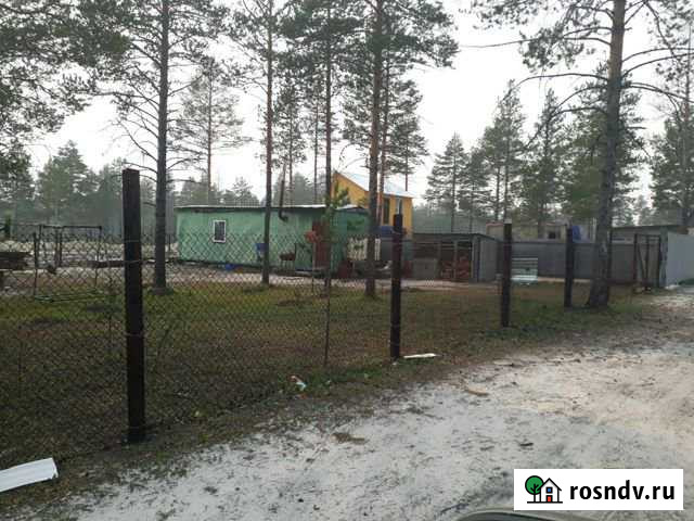 Дача 50 м² на участке 6 сот. на продажу в Муравленко Муравленко - изображение 1