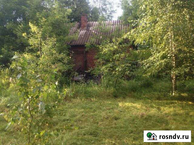 Участок ИЖС 14 сот. на продажу в Лесном Рязанской области Лесной - изображение 1