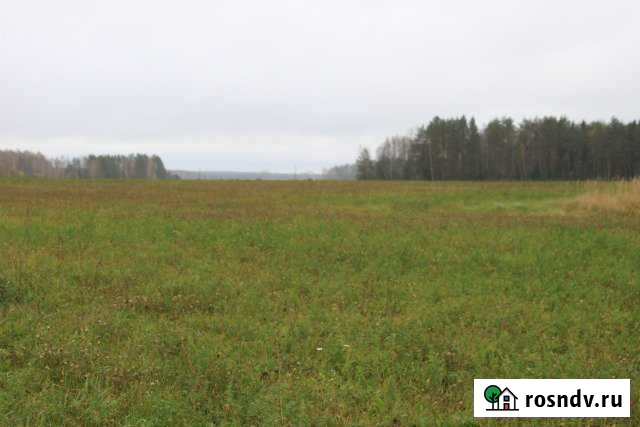 Участок СНТ, ДНП 453 сот. на продажу в Мосальске Мосальск - изображение 1