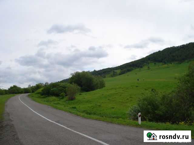 Участок СНТ, ДНП 4300 сот. на продажу в Алтайском Алтайское - изображение 1