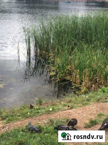 Дом 95 м² на участке 45 сот. на продажу во Льгове Льгов - изображение 1