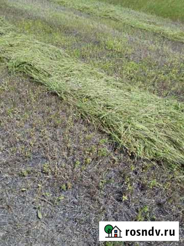 Участок СНТ, ДНП 1850 сот. на продажу в Грозном Грозный - изображение 1