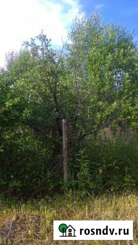 Участок СНТ, ДНП 6 сот. на продажу в Белоoзёрском Белоозёрский - изображение 1