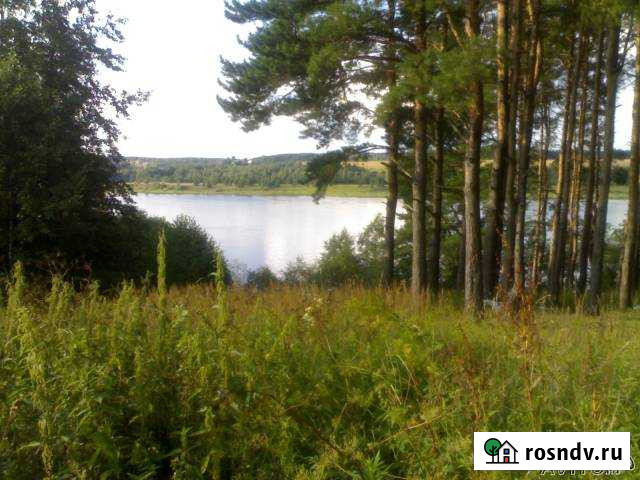 Участок СНТ, ДНП 520 сот. на продажу в Тутаеве Тутаев - изображение 1