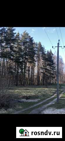 Участок СНТ, ДНП 5 сот. на продажу в Гурьевске Калининградской области Гурьевск - изображение 1