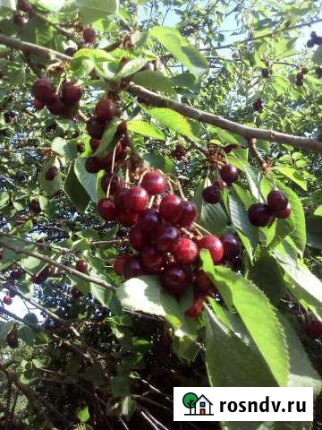 Дом 35 м² на участке 4 сот. в аренду посуточно в Витязево Витязево - изображение 1