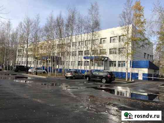 Офисное помещение, 32.5 кв.м. Сургут