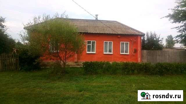 Дом 50 м² на участке 30 сот. на продажу в Касторном Касторное - изображение 1