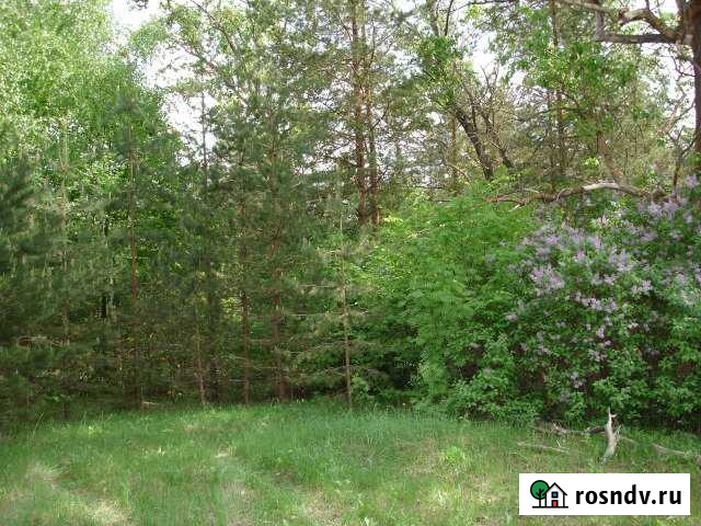 Участок ИЖС 20 сот. на продажу в Радужном Владимирской области Радужный - изображение 1