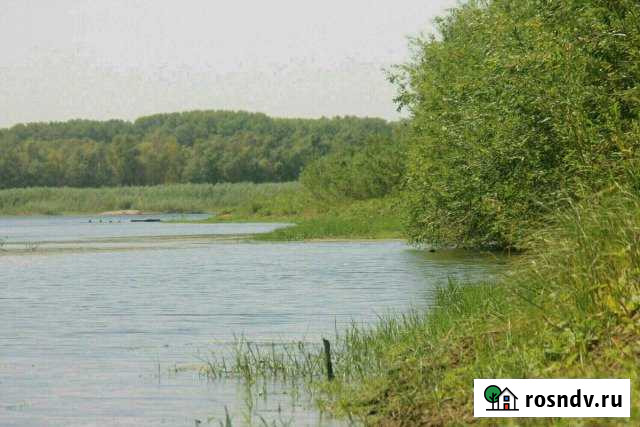 Участок СНТ, ДНП 1600 сот. на продажу в Нариманове Нариманов - изображение 1