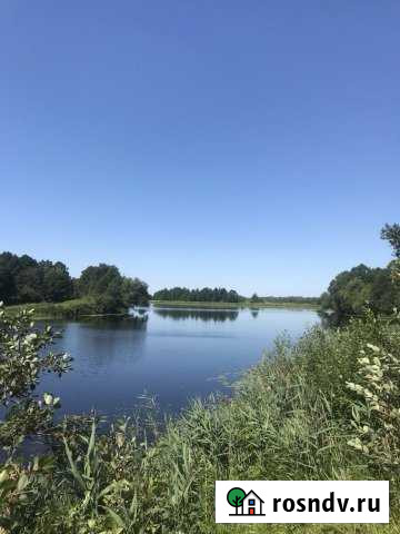 Участок СНТ, ДНП 550 сот. на продажу во Владимире Владимир - изображение 1