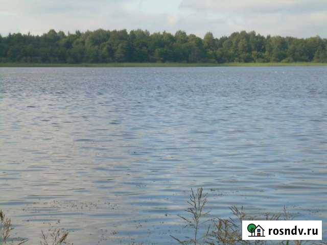 Участок ИЖС 20 сот. на продажу в Жарковском Жарковский - изображение 1