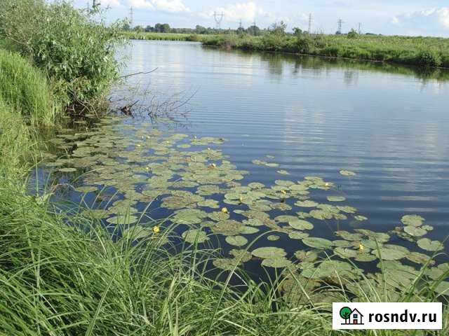 Участок СНТ, ДНП 22 сот. на продажу в Бетьках Бетьки - изображение 1