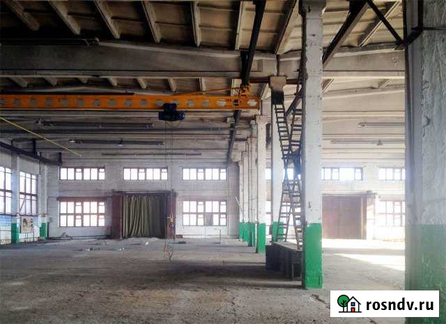 Сдам производственный комплекс 3029 кв.м Острогожск - изображение 1