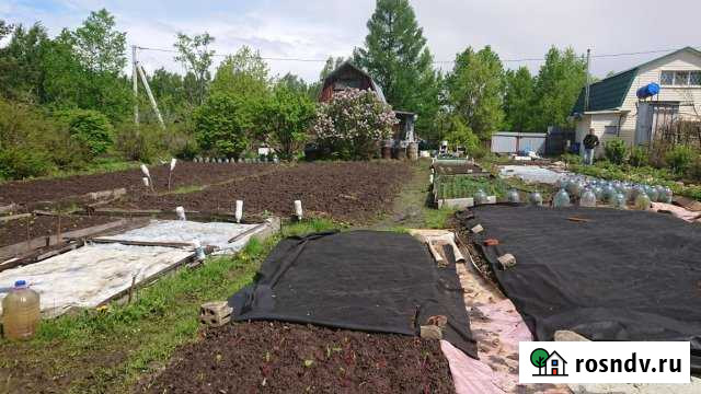 Дача 32 м² на участке 6 сот. на продажу в Восточном Восточное - изображение 1