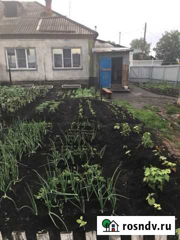 Дом 35 м² на участке 10 сот. на продажу в Крапивинском Крапивинский - изображение 1