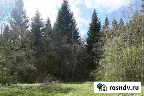 Участок СНТ, ДНП 14 сот. на продажу в Высоковске Высоковск - изображение 1