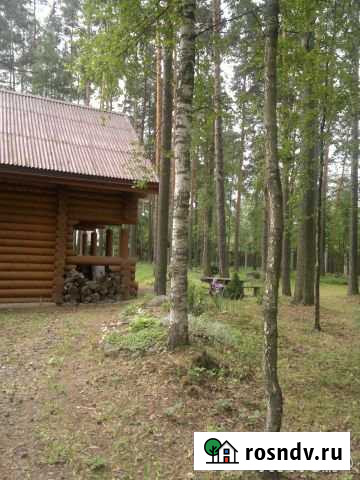 Участок ИЖС 16 сот. на продажу во Всеволожске Всеволожск - изображение 1