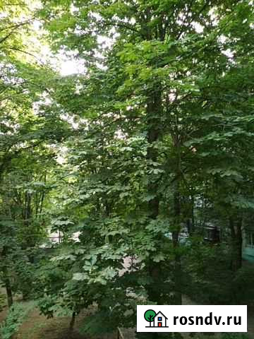 Участок ИЖС 616 сот. на продажу в Чалтыре Чалтырь - изображение 1