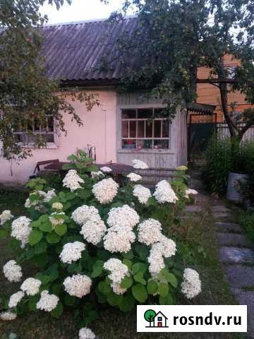 Дача 25 м² на участке 6 сот. на продажу в Жукове Жуков - изображение 1