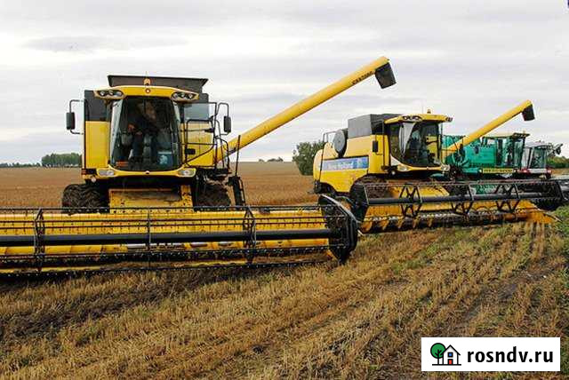 Участок СНТ, ДНП 920 сот. на продажу в Железногорске Красноярского края Железногорск - изображение 1