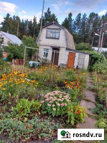 Дача 20 м² на участке 6 сот. на продажу в Красном Гуляе Красный Гуляй - изображение 1