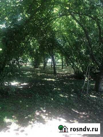 Участок ИЖС 25 сот. на продажу в Григорьевской Григорьевская - изображение 1