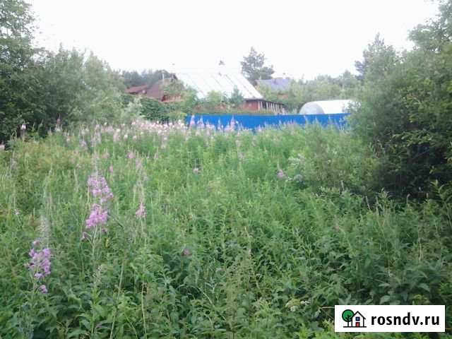 Участок СНТ, ДНП 6 сот. на продажу в Приладожском Приладожский - изображение 1