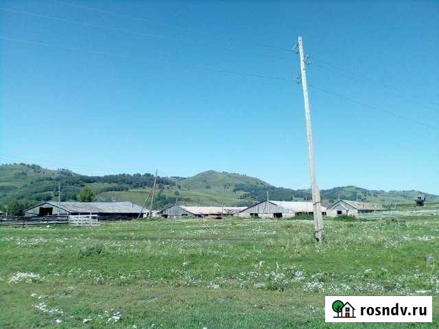 Участок СНТ, ДНП 1800 сот. на продажу в Барнауле Барнаул - изображение 1