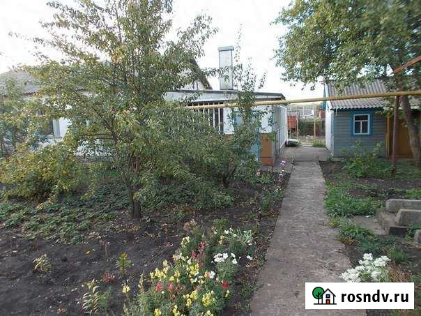 Дом 78 м² на участке 10 сот. на продажу в Плавице Плавица - изображение 1