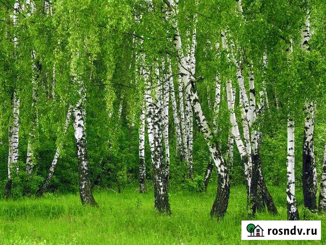 Участок СНТ, ДНП 12 сот. на продажу в Шелехове Шелехов - изображение 1