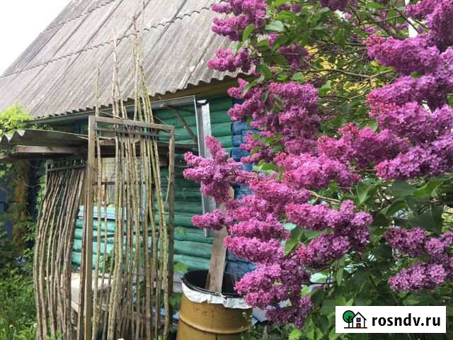 Дача 20 м² на участке 11 сот. на продажу в Пскове Псков - изображение 1