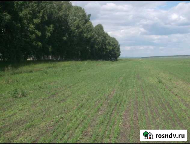 Участок СНТ, ДНП 1420 сот. на продажу в Ирбейском Ирбейское - изображение 1