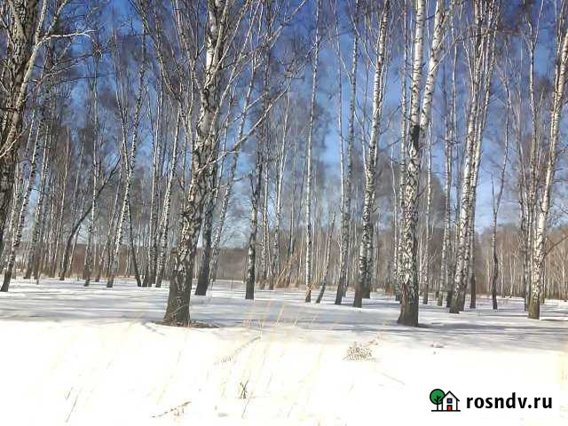 Участок ИЖС 36 сот. на продажу в Тогучине Тогучин - изображение 1