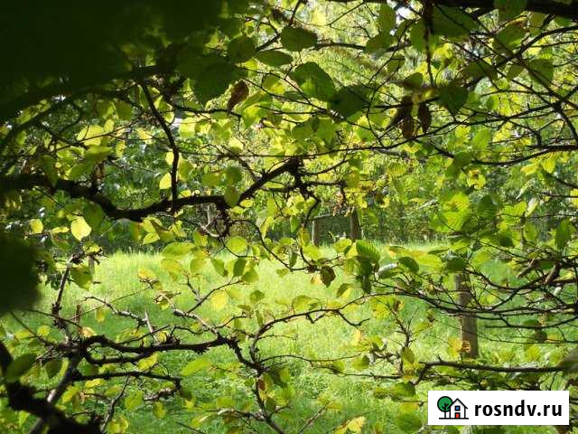 Участок СНТ, ДНП 1400 сот. на продажу в Зеленодольске Зеленодольск - изображение 1